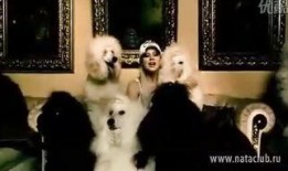 娜塔莉在线观看,揭秘网络红人的崛起之路