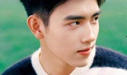 陈飞宇张子枫爆料视频,爆料视频曝光幕后故事