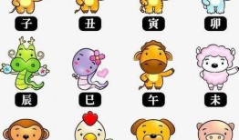 在线观看十二生肖,探寻生肖背后的神秘力量与传奇故事