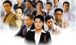 电视剧国家审计在线观看,揭秘在线观看的审计传奇