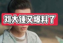 刘大锤爆料古偶视频合集,古偶视频合集，带你穿越时空的浪漫之旅