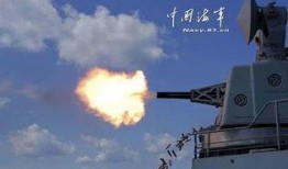 火娃爆料洪大炮视频全集,洪大炮视频全集深度解析