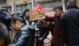 西安集市爆料事件视频大全,一窥市井百态