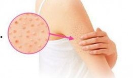 除夕吃鸡皮肤爆料最新版,鸡年新皮肤惊艳亮相！