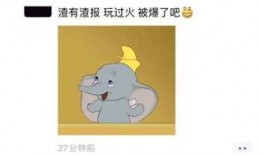 zc7h爆料视频小羊,揭秘zc7h爆料视频背后的故事