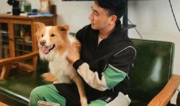 林生斌内部爆料视频大全,揭秘事件背后真相