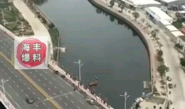 海丰爆料最新消息,最新动态揭秘，热点事件追踪