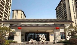 沈阳本地人爆料天涯视频,天涯视频背后的真实故事