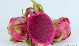 小火龙果爆料视频下载,带你一探究竟