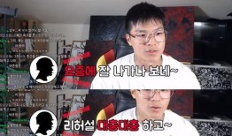 爆料阿韩团队直播视频在线观看,独家视频在线观看，带你领略直播魅力