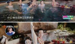 大连温泉明星爆料视频播放,揭秘明星泡汤幕后趣事