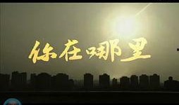 天涯新娱乐爆料视频,视频爆料背后的惊人真相