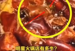 陈赫爆料自助餐视频,揭秘餐饮行业惊人内幕