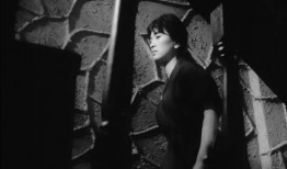 电影下女在线观看,揭开神秘女仆的惊悚面纱