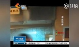 酒店内部爆料视频大全,独家爆料视频大全深度解析