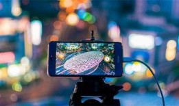 美国网友爆料地球人视频,美国网友曝光地球人神秘视频引发全球热议