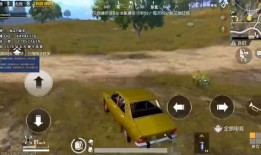 老司机爆料塔姆视频,老司机亲述视频背后的精彩瞬间