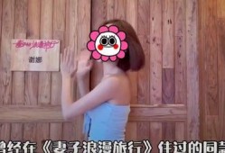 谢娜酒店爆料视频播放,揭秘明星私生活幕后真相