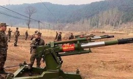 火娃爆料洪大炮视频全集,洪大炮视频全集深度解析