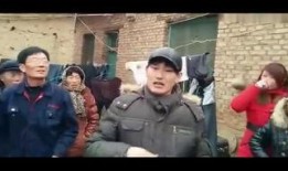 朱之文近日爆料视频最新,揭秘娱乐圈不为人知的秘密