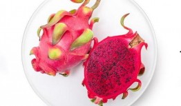 小火龙果爆料视频下载,带你一探究竟