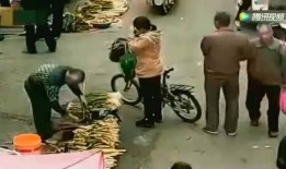 女郎市场在线观看,在线揭秘时尚圈幕后风云