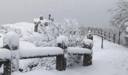爆料下雪了视频大全高清,下雪了视频大全高清，捕捉雪景之美