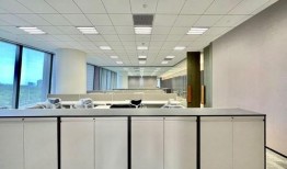 新春园林爆料视频大全集,视频大全集精彩回顾