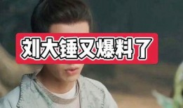 爆料娱乐圈刘大锤是谁啊,娱乐圈爆料达人刘大锤揭秘真相