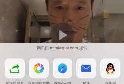 网友爆料网恋视频大全下载,揭秘网络爱情的甜蜜与陷阱