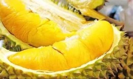 榴莲月饼爆料方法大全视频