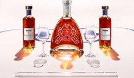 在线观看xo,在线观看XO的奇幻之旅