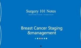 breats在线观看,Breats在线观看之旅