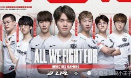 神秘人大哥爆料视频,揭秘神秘视频背后的惊人真相