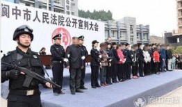 四川讨薪新闻爆料视频大全,视频揭露维权之路的艰辛与挑战