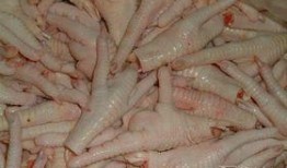 鸡爪养殖爆料视频播放大全,热门视频大全深度解析