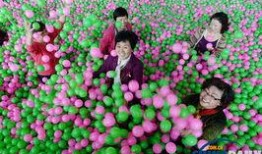 breats在线观看,Breats在线观看之旅