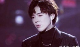 吃瓜爆料刘宇宁视频下载,独家下载解析