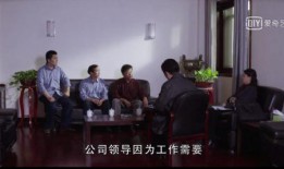 电视剧国家审计在线观看,揭秘在线观看的审计传奇