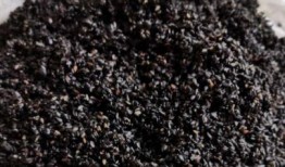 黑芝麻丸爆料怎么做视频,揭秘爆款短视频制作秘诀