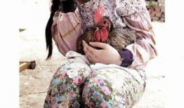 台剧阿母在线观看,台剧经典，感人至深，在线观看，共度温馨时光