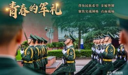 传奇爆料官教官原视频,游戏内幕与实战技巧深度解析