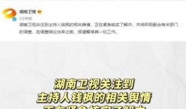 娱乐圈吃瓜运营模式有哪些,揭秘幕后攻略与热门事件幕后真相