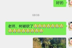 娱乐吃瓜君论文,揭秘娱乐圈幕后真相与八卦风云
