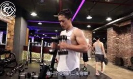 健身训练营爆料案例视频,汗水与蜕变背后的故事