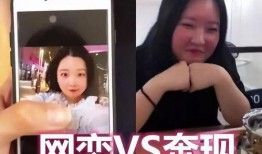 网友爆料网恋视频大全下载,揭秘网络爱情的甜蜜与陷阱