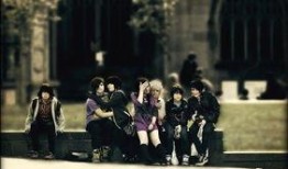 追随在线观看完整版,深度解析追随完整版