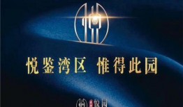 惠州新闻爆料微信号,揭秘惠州最新动态，聚焦民生热点！