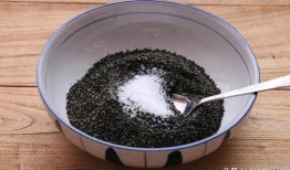 黑芝麻丸爆料怎么做视频,揭秘爆款短视频制作秘诀