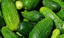 黄瓜农药爆料视频下载大全,揭露农业用药真相